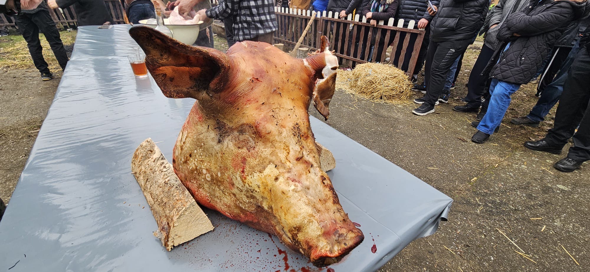 ddd566e4 2ea0 49d7 8748 863467749fb6